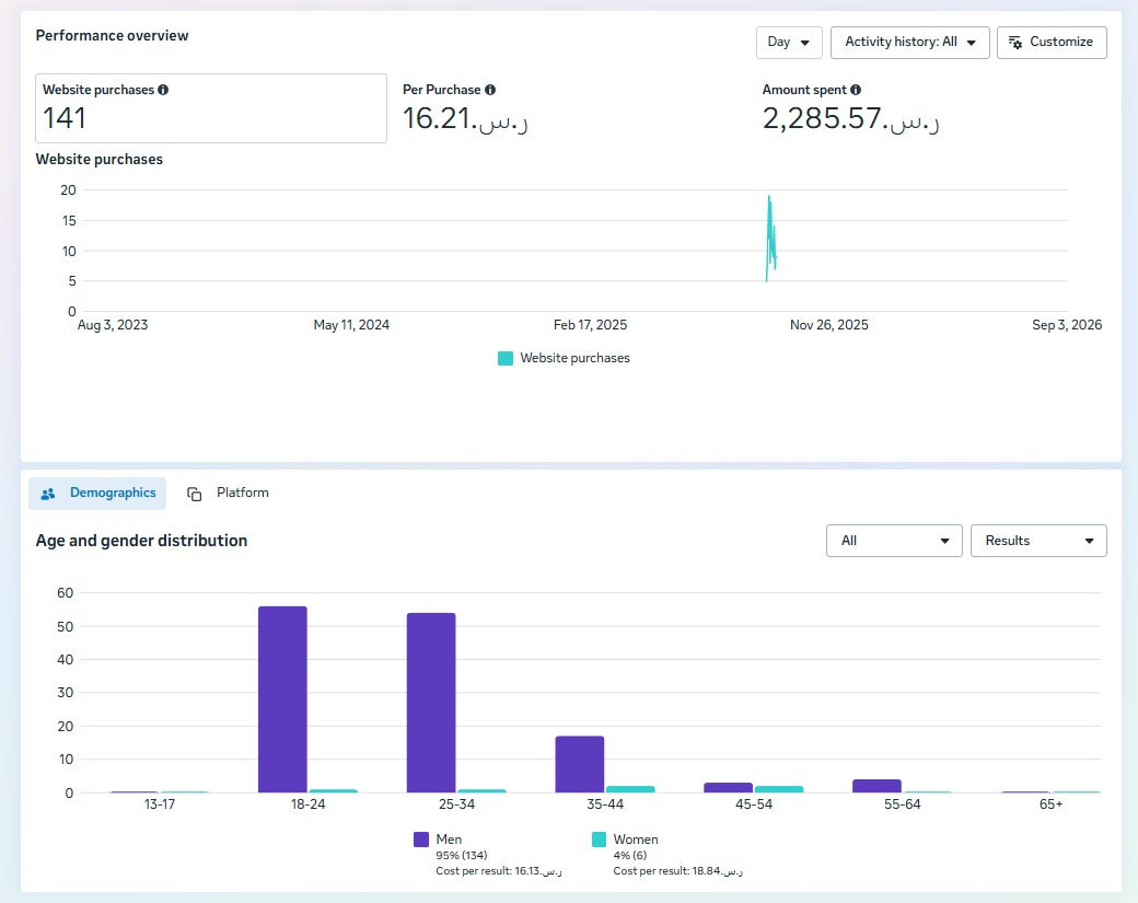 Saudi Arabia website purchases campaign performance overview