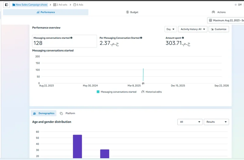 Egypt messaging campaign performance, 128 conversations