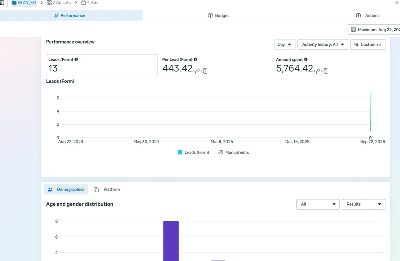 Egypt audience lead campaign performance overview