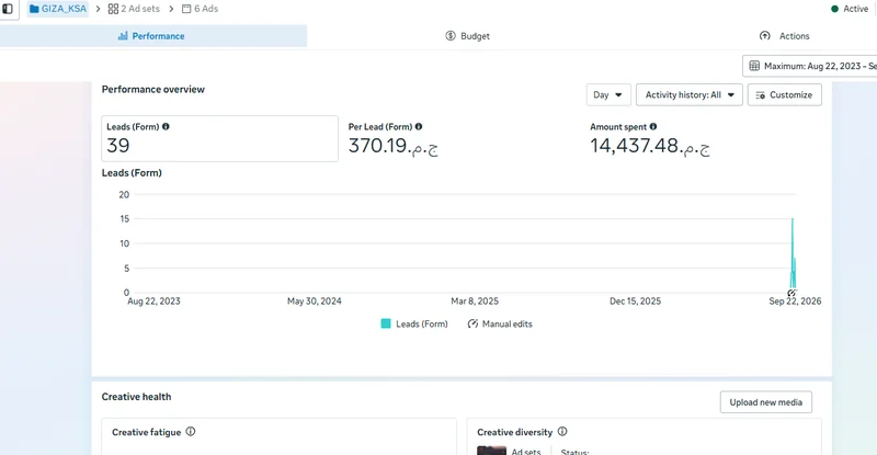 Saudi Arabia audience lead campaign performance overview