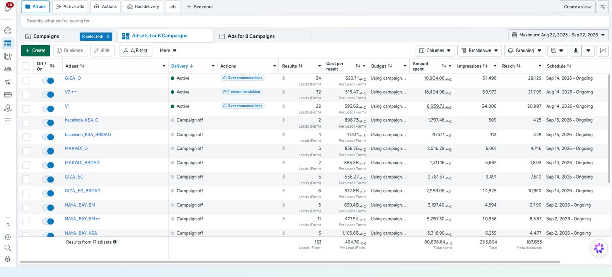 Real estate Meta Ads account overview across 8 campaigns and 17 ad sets